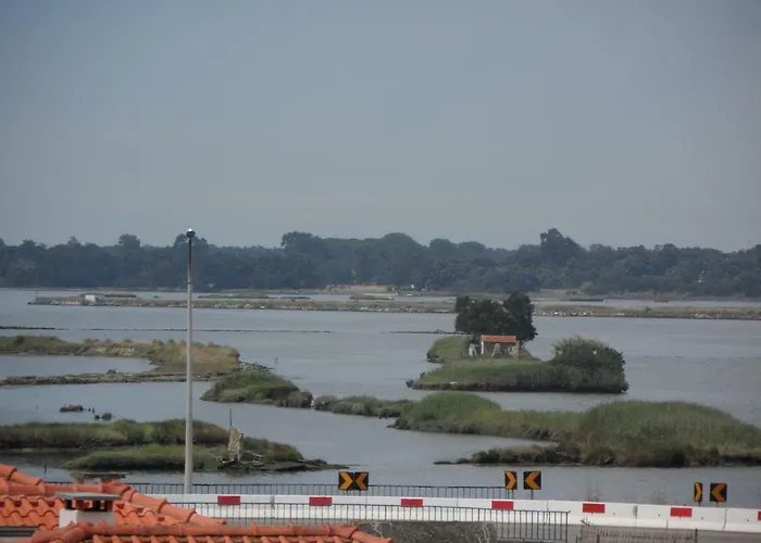 アパート Feeltheland Ria アヴェイロ